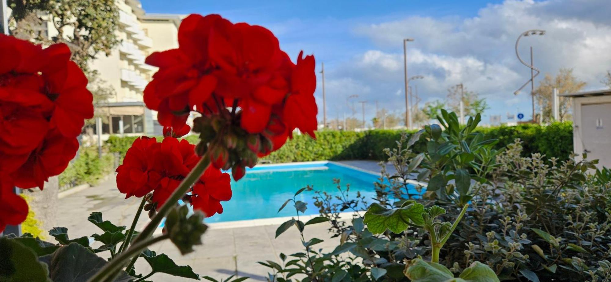 Park Hotel Rimini Exterior foto